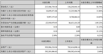 公司业绩│丰元股份中报正极材料销售收入0.97亿 2020年拟新建年产1万吨ncm811项目