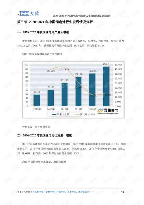 2021 2025年中国锂电池行业调研及整合营销战略研究报告.pdf