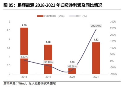 钠离子电池行业深度报告:消费电池巨头的动力储能成长之路